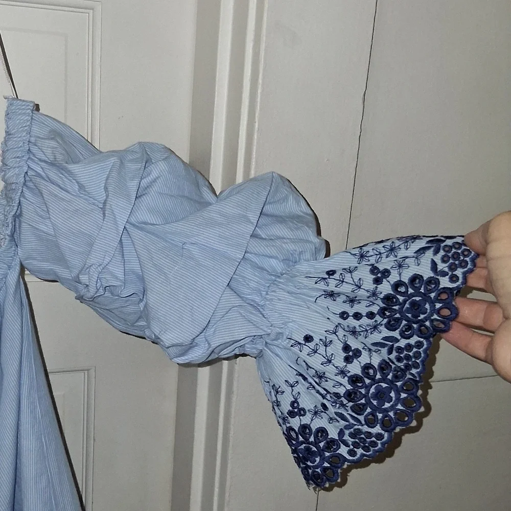 Zara Basic Blue Pinstripe Off Shoulder Embroidered Puff Sleeve Blouse Small